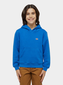 Худі та світшоти Dickies Youth Oakport модель DK0KWR12J531 Фото