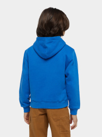 Худі та світшоти Dickies Youth Oakport модель DK0KWR12J531 Фото