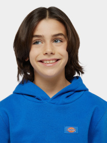 Худі та світшоти Dickies Youth Oakport модель DK0KWR12J531 Фото