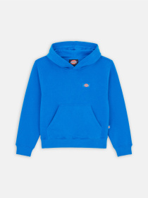 Худі та світшоти Dickies Youth Oakport модель DK0KWR12J531 Фото