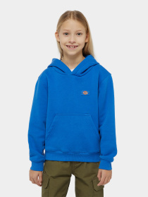Худи и свитшоты Dickies Youth Oakport модель DK0KWR12J531 Фото