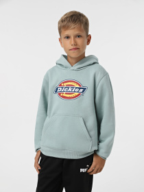 Худі та світшоти Dickies Youth Logo модель DK0KWR27J591 Фото