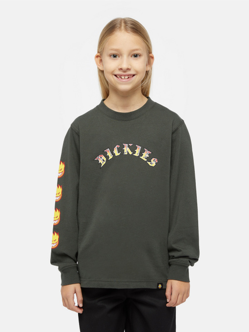 Худи и свитшоты Dickies x Spitfire модель DK0A86660OG1 Фото