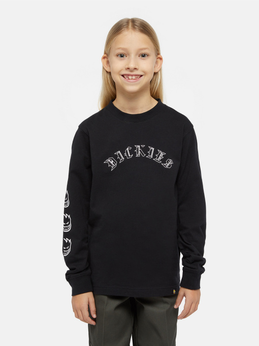 Худи и свитшоты Dickies x Spitfire модель DK0A8666BLK1 Фото