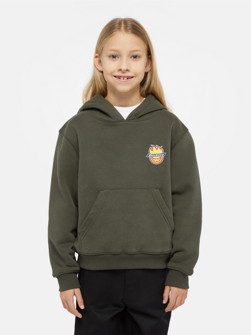 Худи и свитшоты Dickies x Spitfire модель DK0A86670OG1 Фото
