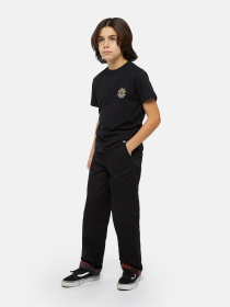 Штани Dickies x Spitfire модель DK0A8668BLK1 Фото