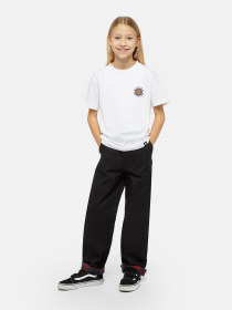 Штани Dickies x Spitfire модель DK0A8668BLK1 Фото
