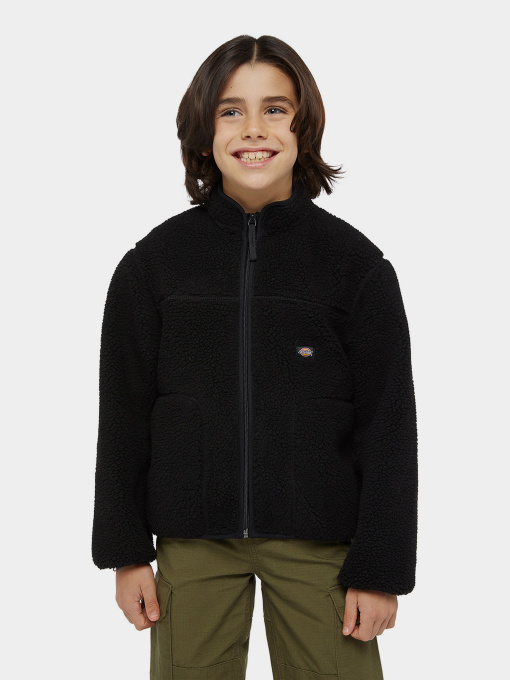 Худи и свитшоты Dickies Mount Hope Fleece модель DK0A4Z3TBLK1 Фото