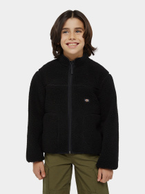 Худи и свитшоты Dickies Mount Hope Fleece модель DK0A4Z3TBLK1 Фото
