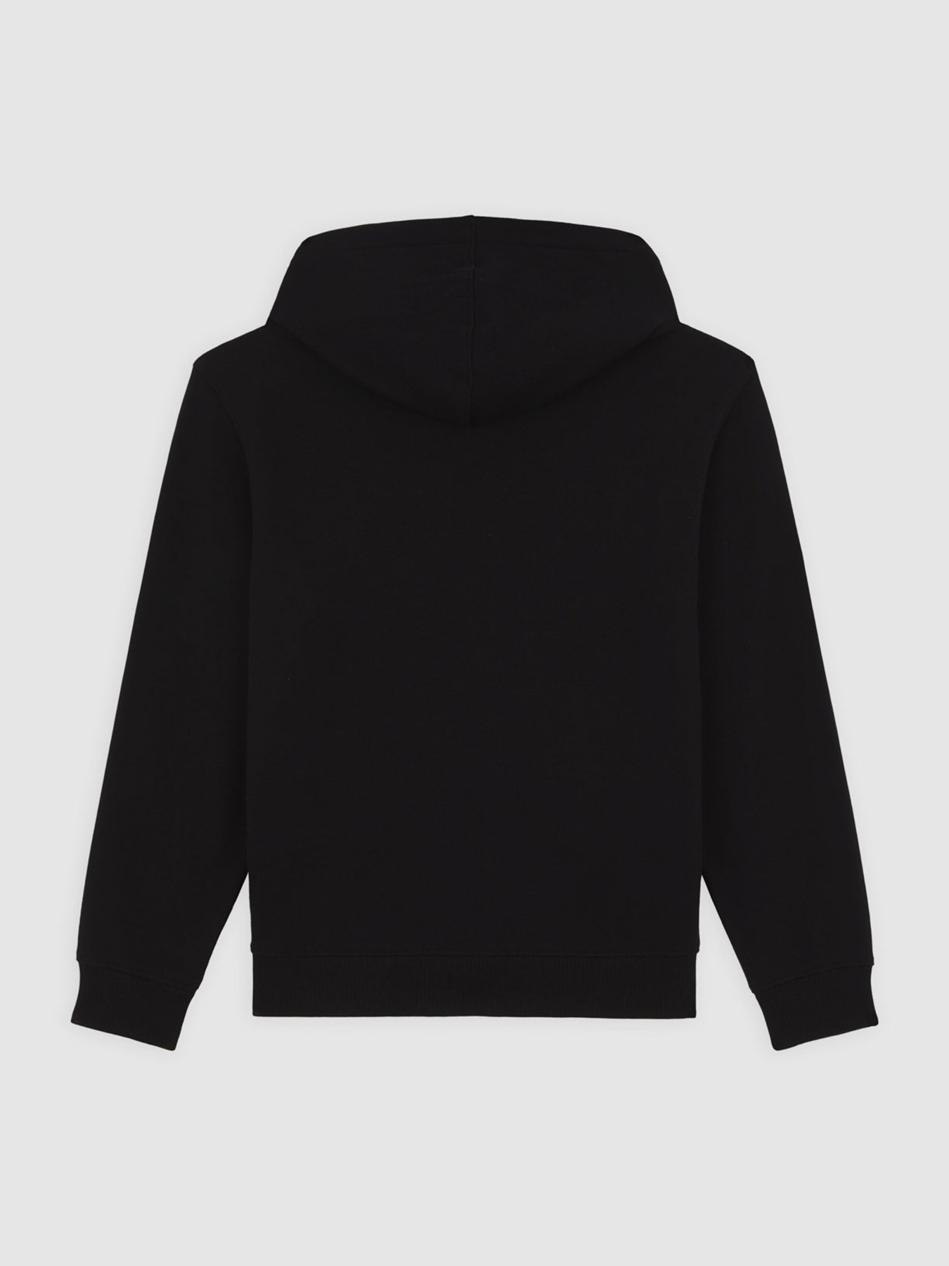 Худі та світшоти Dickies Terry Full Zip модель DK0A4Z6WBLK1 Фото