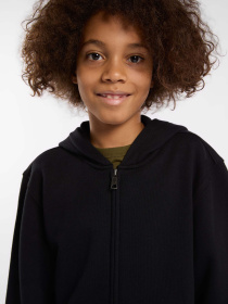Худі та світшоти Dickies Terry Full Zip модель DK0A4Z6WBLK1 Фото