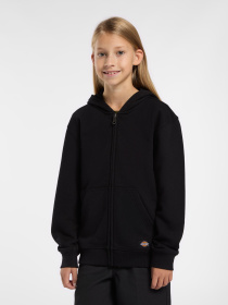 Худи и свитшоты Dickies Terry Full Zip модель DK0A4Z6WBLK1 Фото