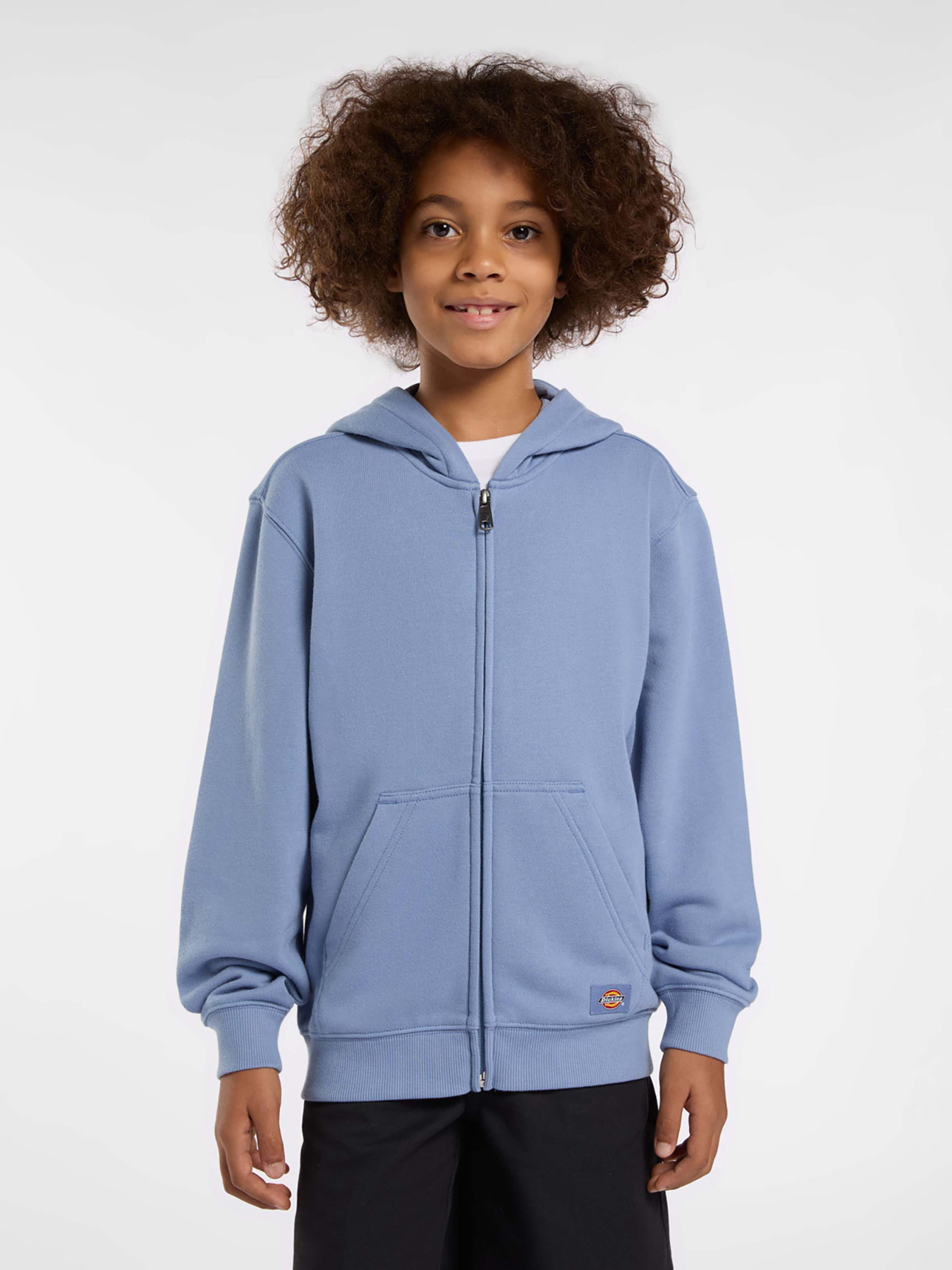 Худі та світшоти Dickies Terry Full Zip модель DK0A4Z6WK371 Худі та світшоти Dickies Terry Full Zip модель DK0A4Z6WK371 Фото