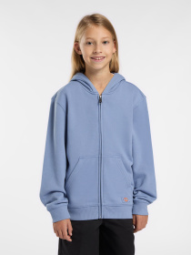 Худі та світшоти Dickies Terry Full Zip модель DK0A4Z6WK371 Фото