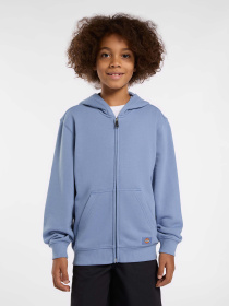 Худи и свитшоты Dickies Terry Full Zip модель DK0A4Z6WK371 Фото