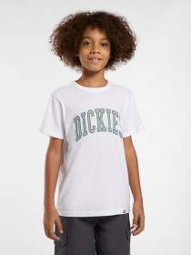 Футболки и поло Dickies Aitkin модель DK0A4Z8O0WH1 Фото