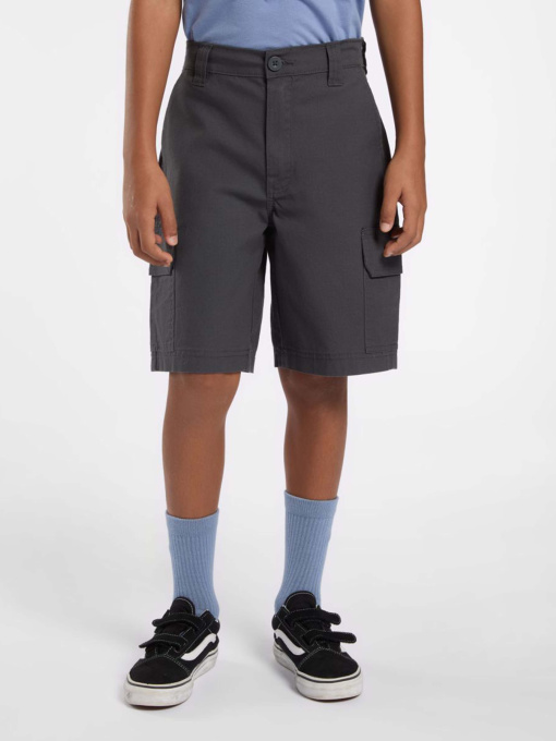 Шорты Dickies Rips модель DK0A862Z0CH1 Фото
