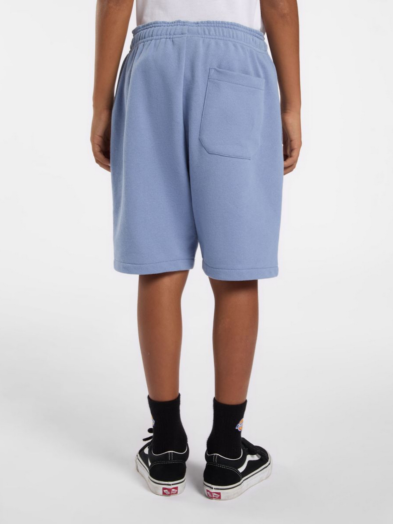 Шорти Dickies Youth Mapleton модель DK0KRR33K371 Фото