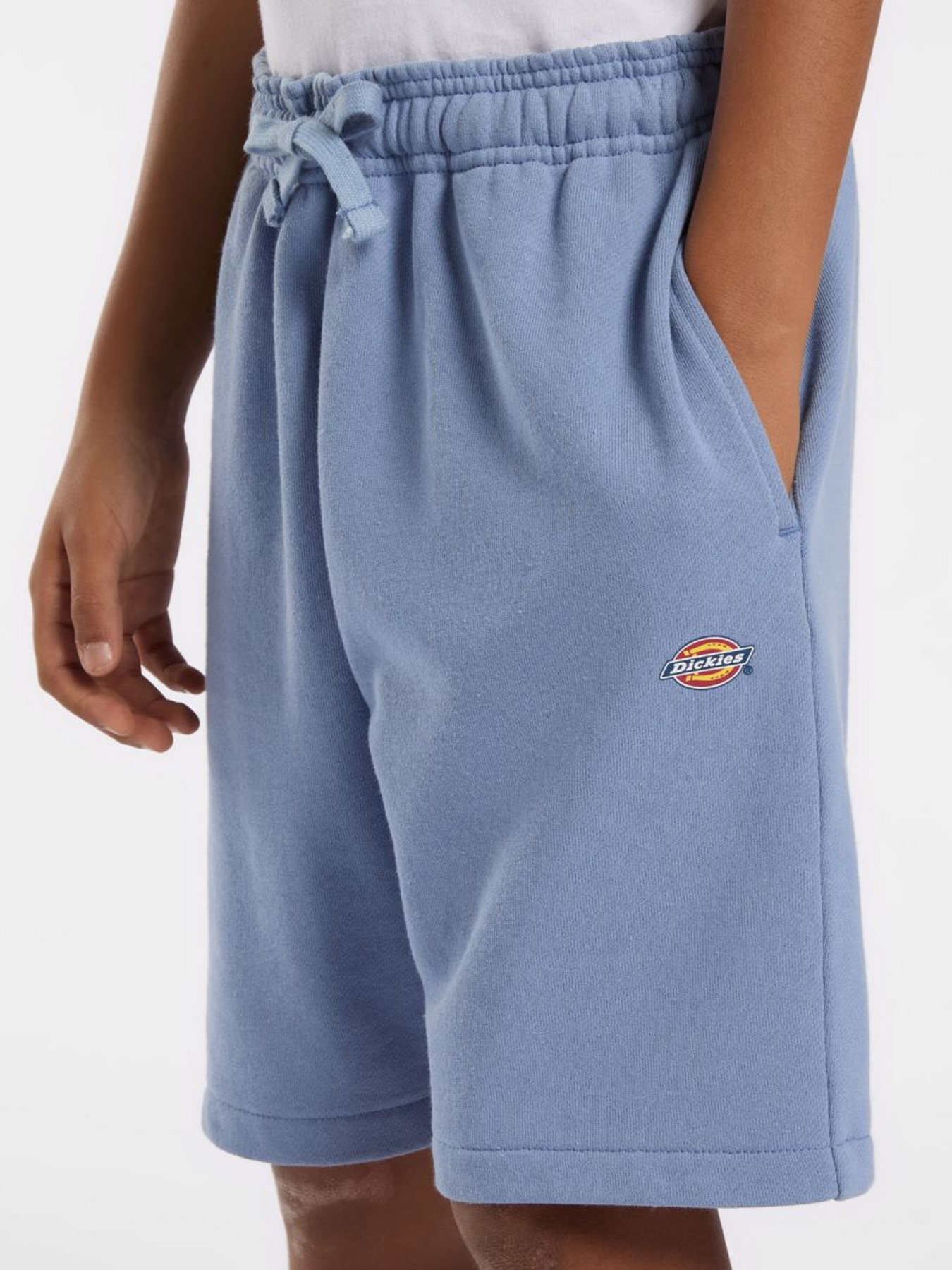 Шорти Dickies Youth Mapleton модель DK0KRR33K371 Фото