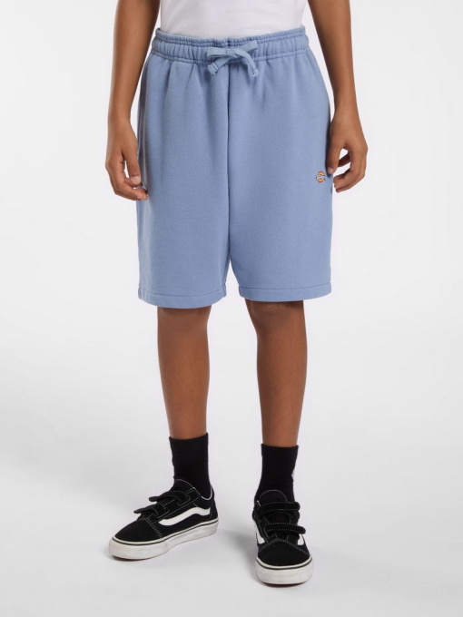 Шорти Dickies Youth Mapleton модель DK0KRR33K371 Фото