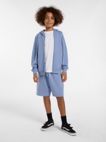 Шорти Dickies Youth Mapleton модель DK0KRR33K371 Фото