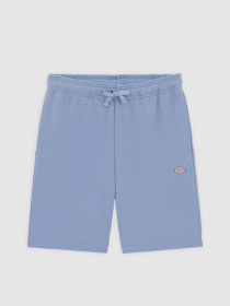 Шорти Dickies Youth Mapleton модель DK0KRR33K371 Фото