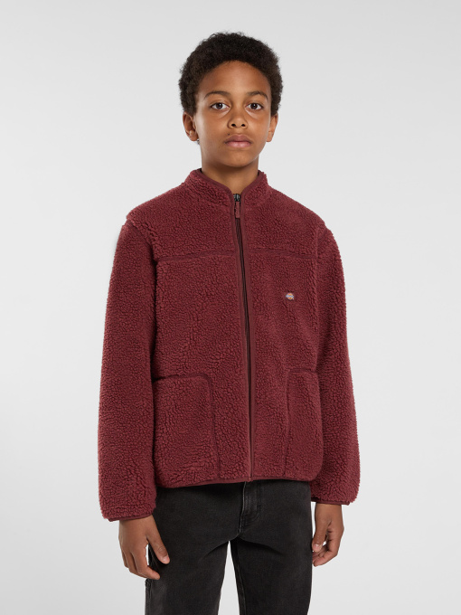 Худи и свитшоты Dickies MOUNT HOPE FLEECE модель DK0A4Z3TL161 Фото