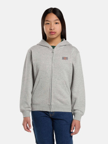 Худи и свитшоты Dickies Youth Oakport модель DK0A88BO0H21 Фото
