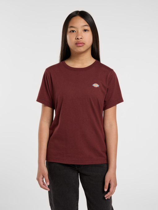 Футболки і поло Dickies Youth Mapleton модель DK0KSR64L161 Фото