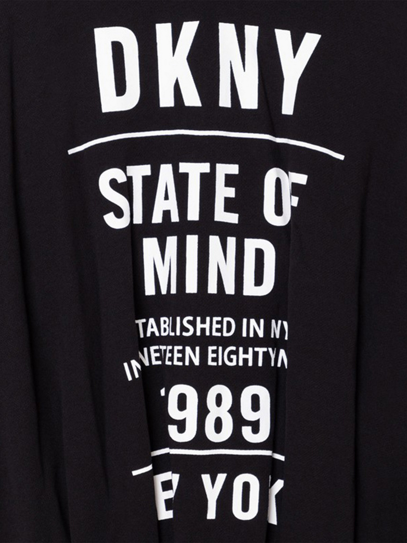 Худи и свитшоты DKNY модель D35R83/09B Худи и свитшоты DKNY модель D35R83/09B Фото