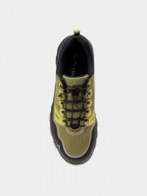 Кроссовки Elbrus модель ERGIDES WP-WOODBINE/CITRON/BLK Фото