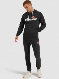 Худі та світшоти Ellesse модель SHC07440-DKGRMARL Фото