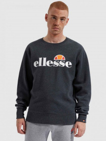 Худі та світшоти Ellesse модель SHC07930-DKGRMARL Фото
