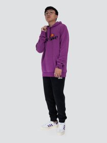 Худі та світшоти Ellesse модель SHI07407-PURPLE Фото
