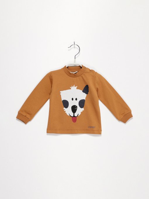 Худи и свитшоты Esprit модель 7040921003_с.коричневий комб. Фото