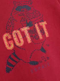 Худі та світшоти Esprit модель 7040941002_бордовий комб. Фото