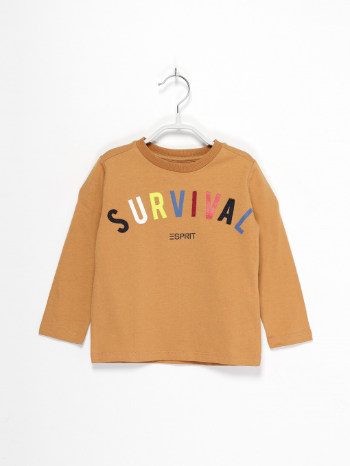 Худи и свитшоты Esprit модель 7040941007_с.коричневий комб. Фото