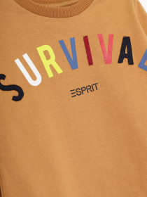 Худі та світшоти Esprit модель 7040941007_с.коричневий комб. Фото