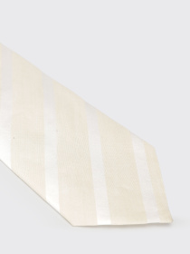 Галстуки и бабочки GIORGIO ARMANI модель 350027 4P360 00013 Фото