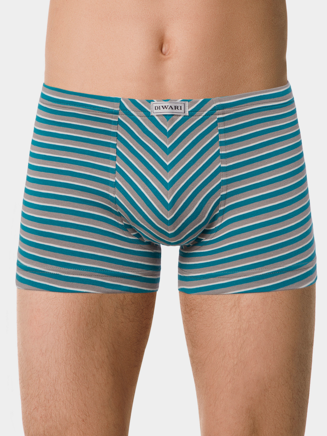 Нижня білизна DiWaRi модель 18С-622ТСП-grey-sea green Фото
