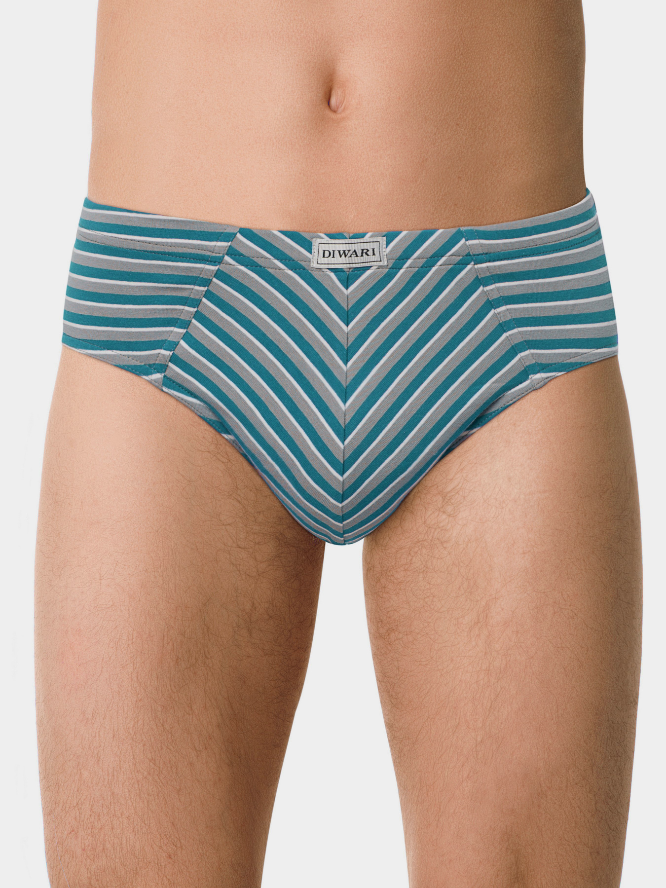 Нижня білизна DiWaRi модель 18С-623ТСП-grey-sea green Фото