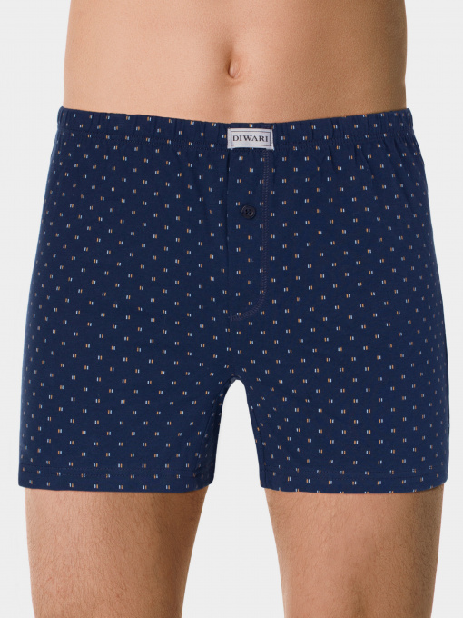 Нижня білизна DiWaRi модель 19С-902ТСП-dark blue Фото