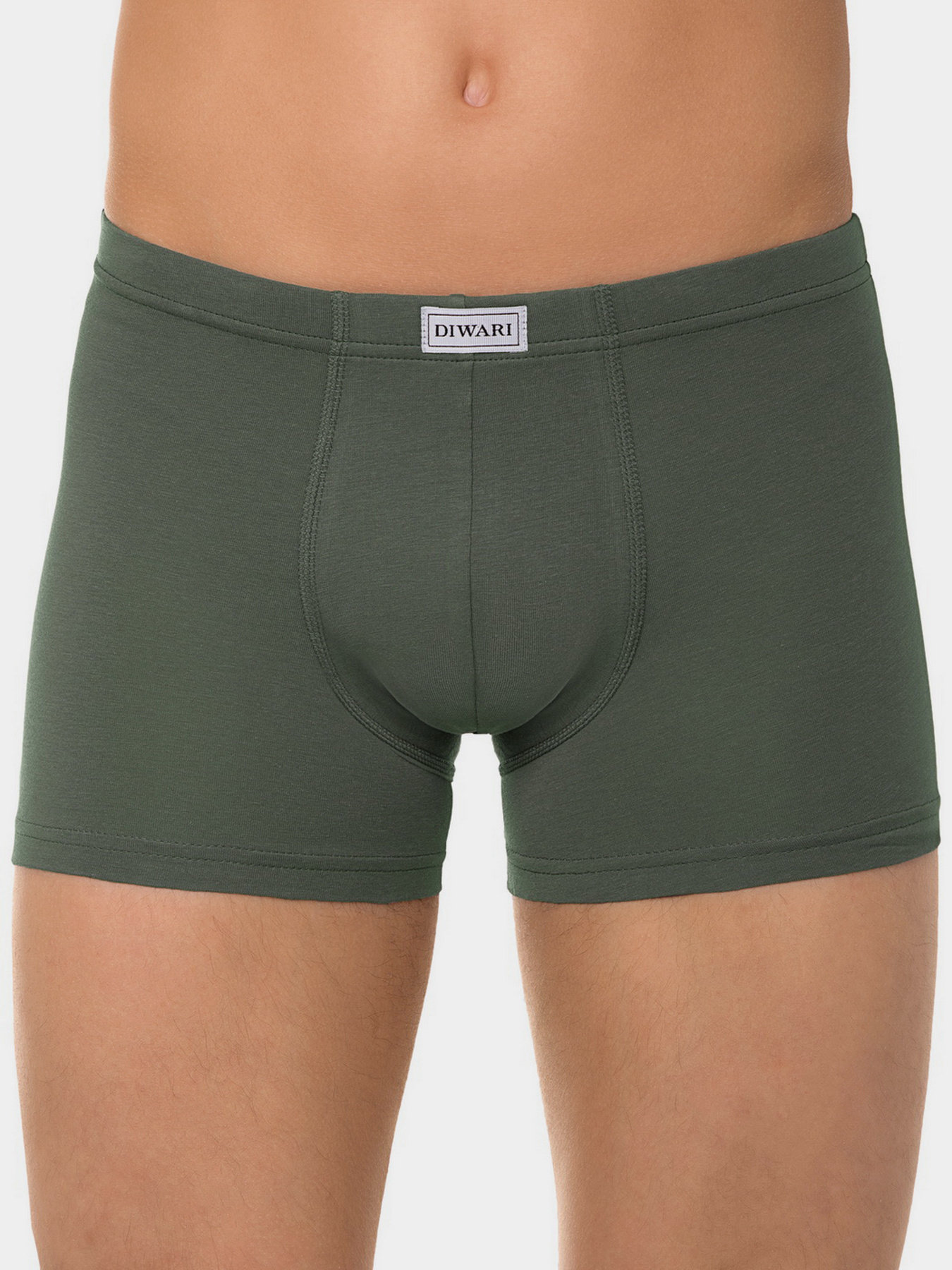 Нижня білизна DiWaRi модель 9С-229ТСП-olive green Фото