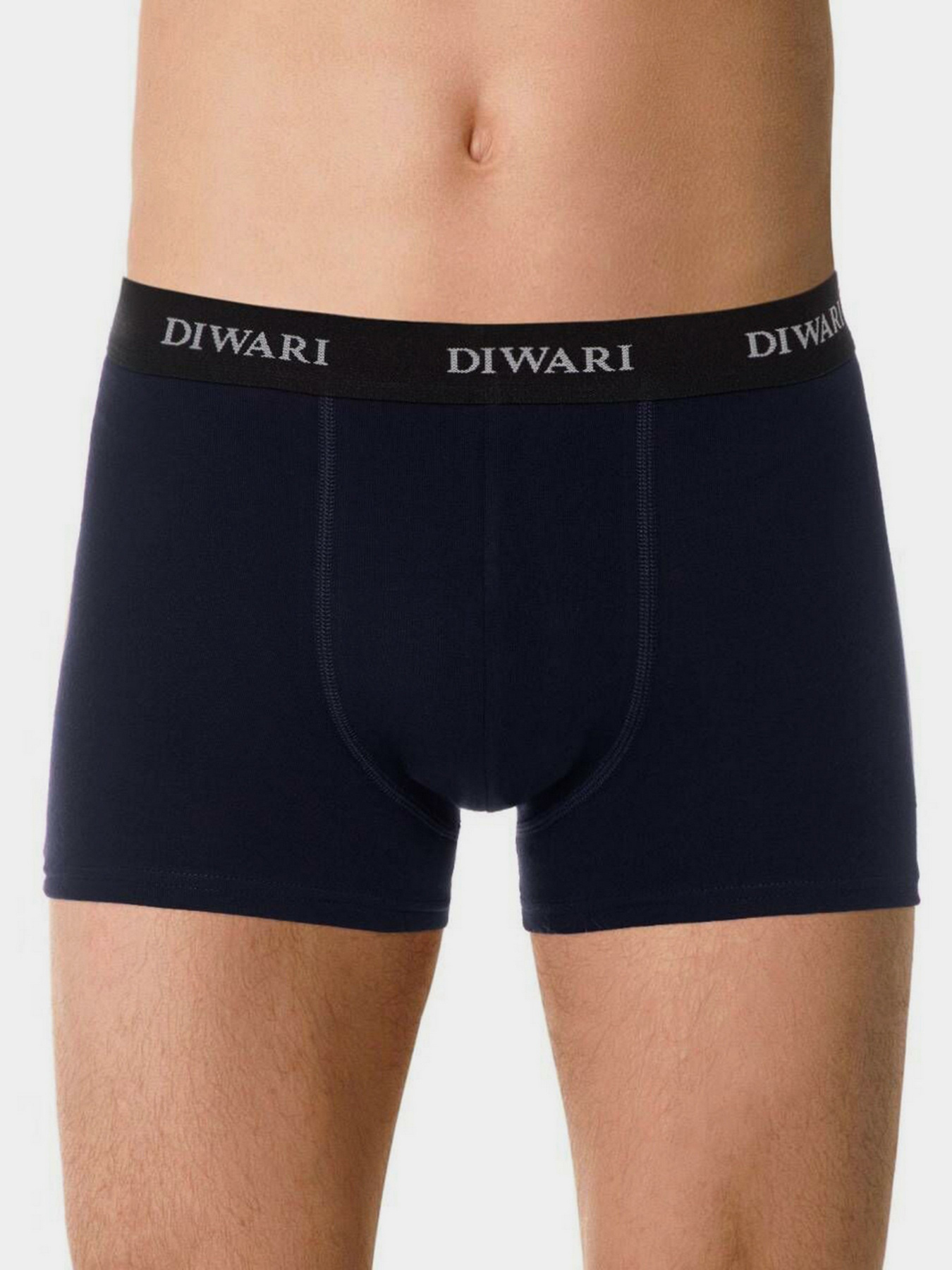 Нижня білизна DiWaRi модель 20С-1076ТСП-dark navy Фото