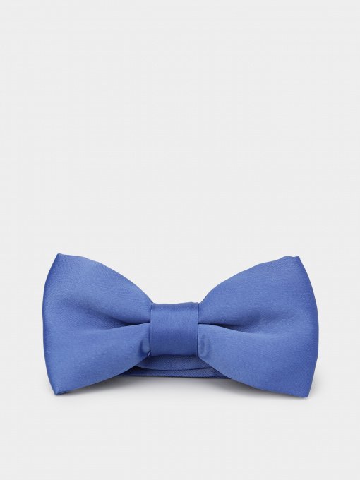 Краватки та метелики H&M модель 0201024_с.синій Фото