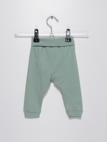 Штани H&M модель 0453114_с.зелений Фото