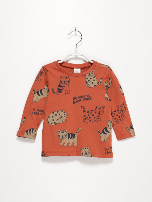 Худі та світшоти H&M модель 0743907_помаранчевий комб. Фото
