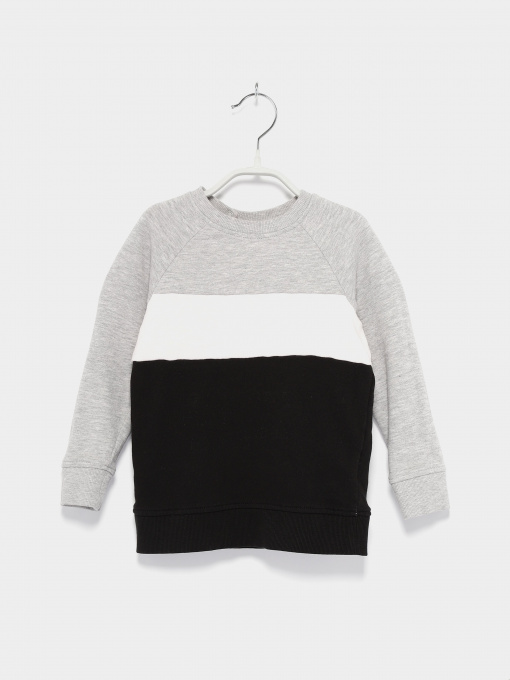 Худи и свитшоты H&M модель 08137751_комб. Фото