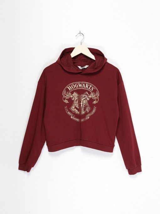 Худи и свитшоты H&M модель 08167131_бордовий Фото