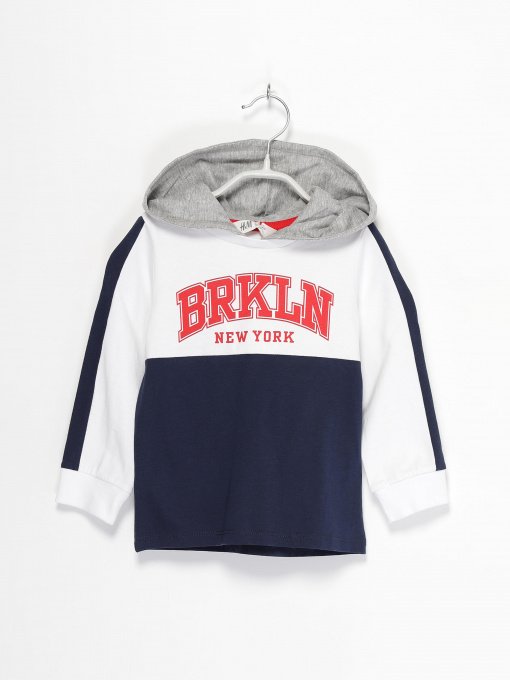 Худи и свитшоты H&M модель 0877079_комб. Фото